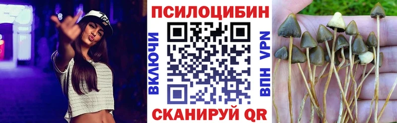 Купить где  Кимовск  Псилоцибиновые грибы мицелий 